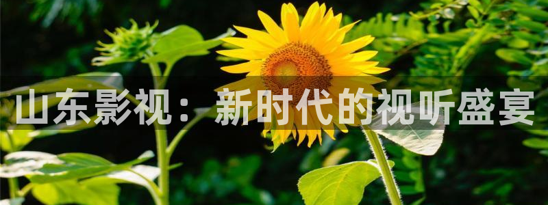 缘分的天空动漫免费观看高清：山东影视：新时代的视听盛宴