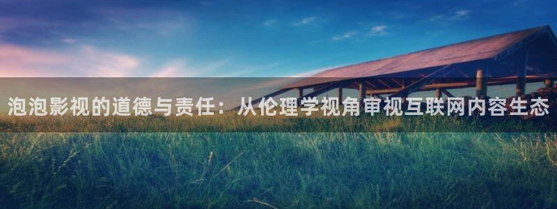 台湾数码天空高清机顶盒：泡泡影视的道德与责任：从伦理学视角审视互联网内容生态