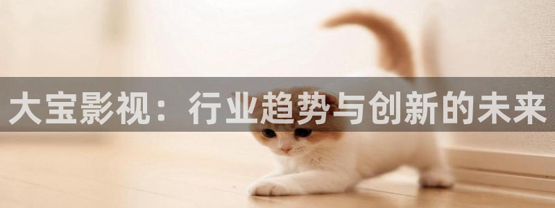 天空中的遇难船免费国语：大宝影视：行业趋势与创新的未来