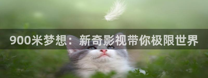 滚动的天空alone2下载