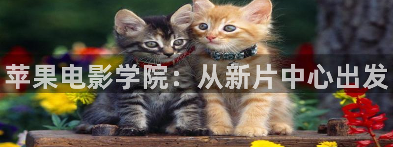 夏天下雷阵雨前,天空有什么变化：苹果电影学院：从新片中心出发