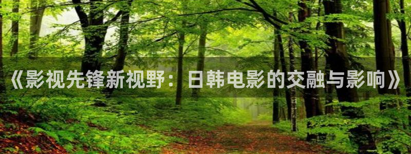 天空视频软件：《影视先锋新视野：日韩电影的交融与影响》
