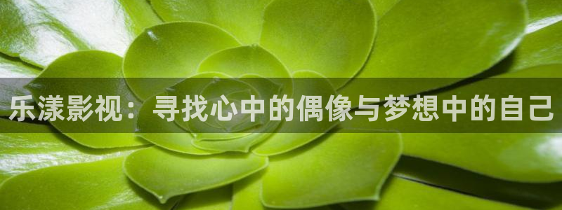 天空会下鱼吗：乐漾影视：寻找心中的偶像与梦想中的自己