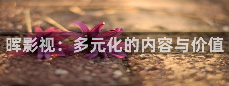 天空1080p在线观看