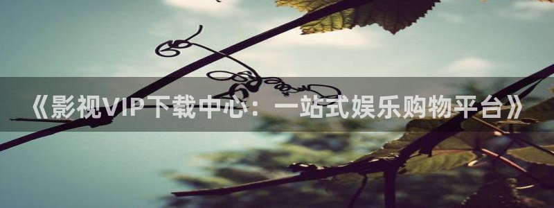 天空影视免费下载：《影视VIP下载中心：一站式娱乐购物平台》